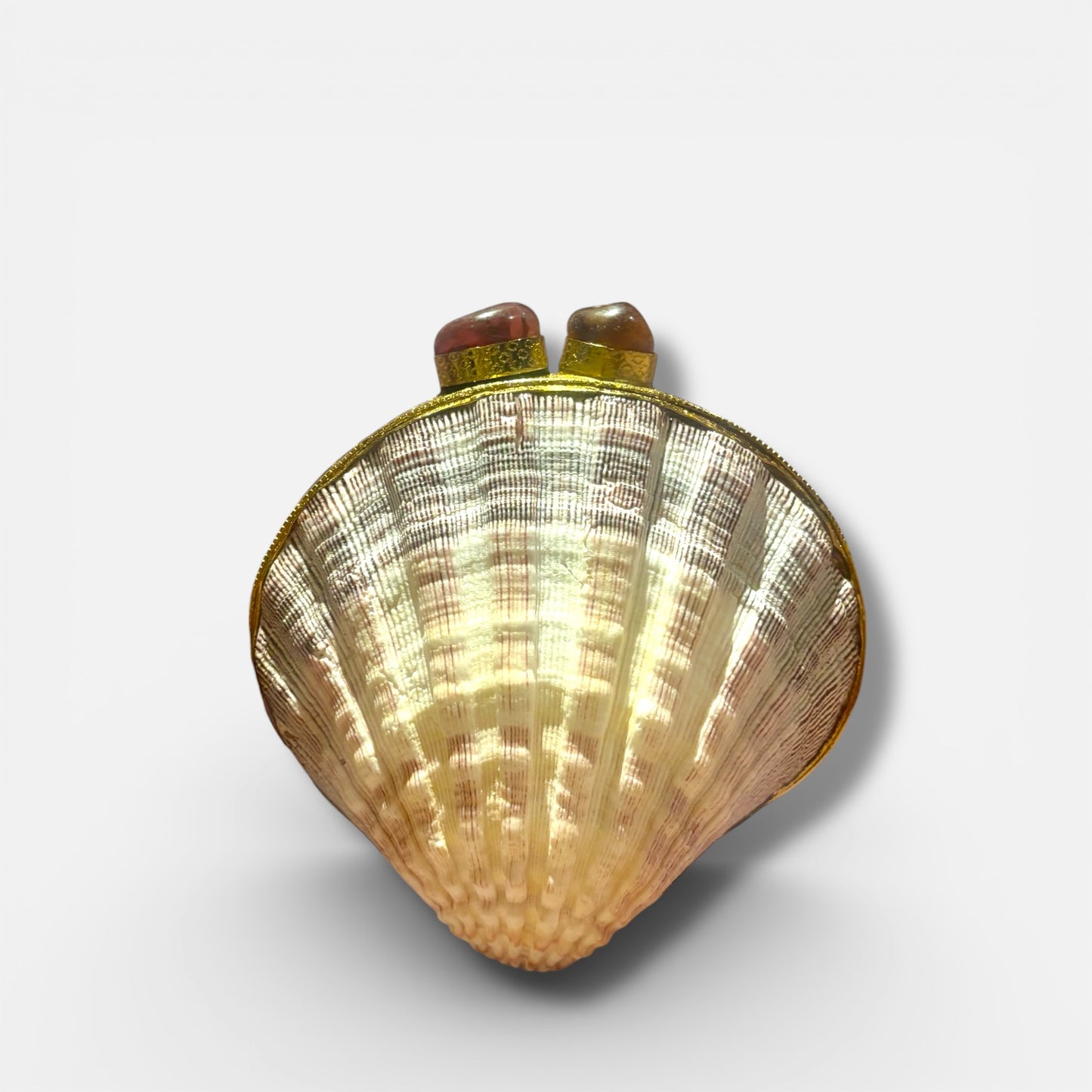 Shell MOP Clutch